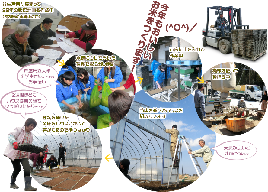 1.生産者が集まって29年の栽培計画を作成中(南相馬の事務所にて) 2.水槽につけておいた種籾を取り出します(兵庫県立大学の学生さんたちもお手伝い) 3.苗床に土を入れる作業中 4.機械を使って
種播き中 5.苗床を並べるハウスを組み立てます(天気が良いとはかどるなあ) 6.種籾を播いた苗床をハウスに並べて芽がでるのを待つばかり(2週間ほどでハウスは苗の緑でいっぱいになります)